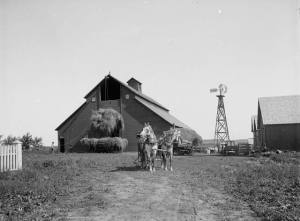 Fotografi fra det som muligens er en norsk-amerikansk gård i USA fra 1893 tatt av den kjente fotografen Knud Knudsen. Kilde: Universitetet i Bergen